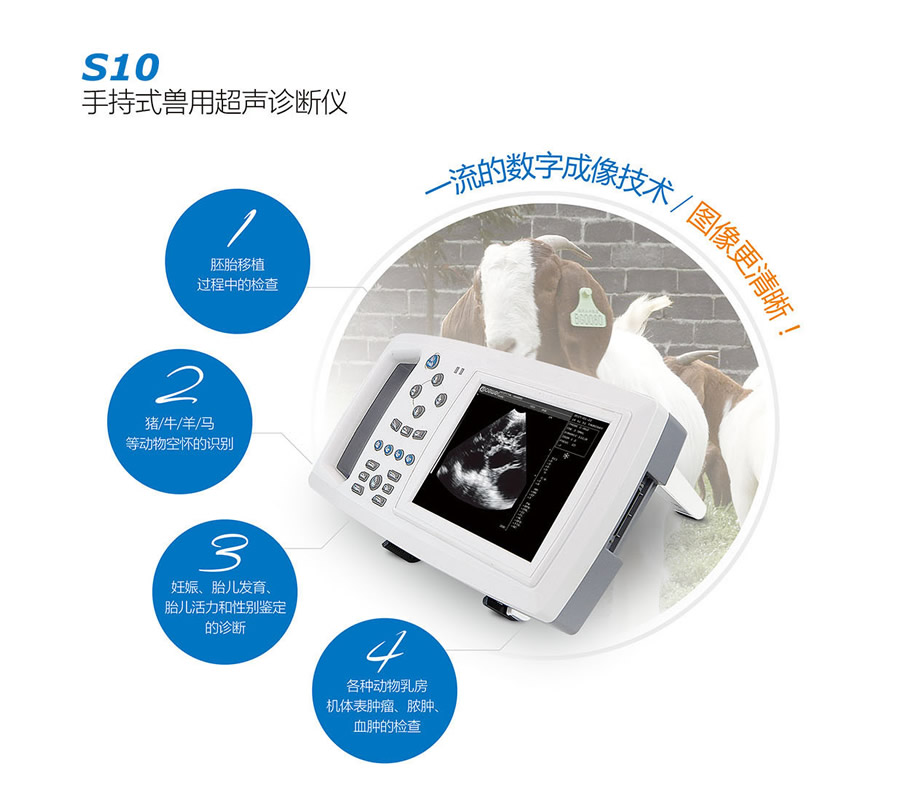 獸用B超,獸用B超機